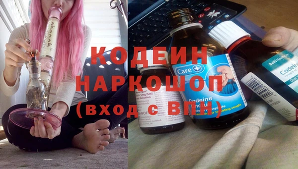 ПСИЛОЦИБИНОВЫЕ ГРИБЫ Абаза