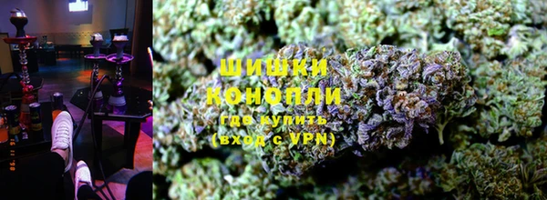 ПСИЛОЦИБИНОВЫЕ ГРИБЫ Абаза