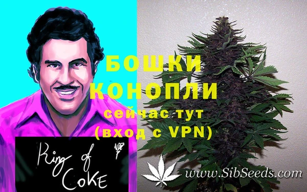ПСИЛОЦИБИНОВЫЕ ГРИБЫ Абаза