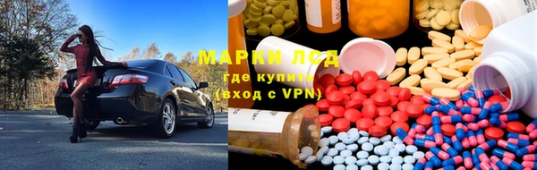 apvp Алексин